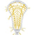 String King Mark 2 Offense Trad Tech Women's Lacrosse Head